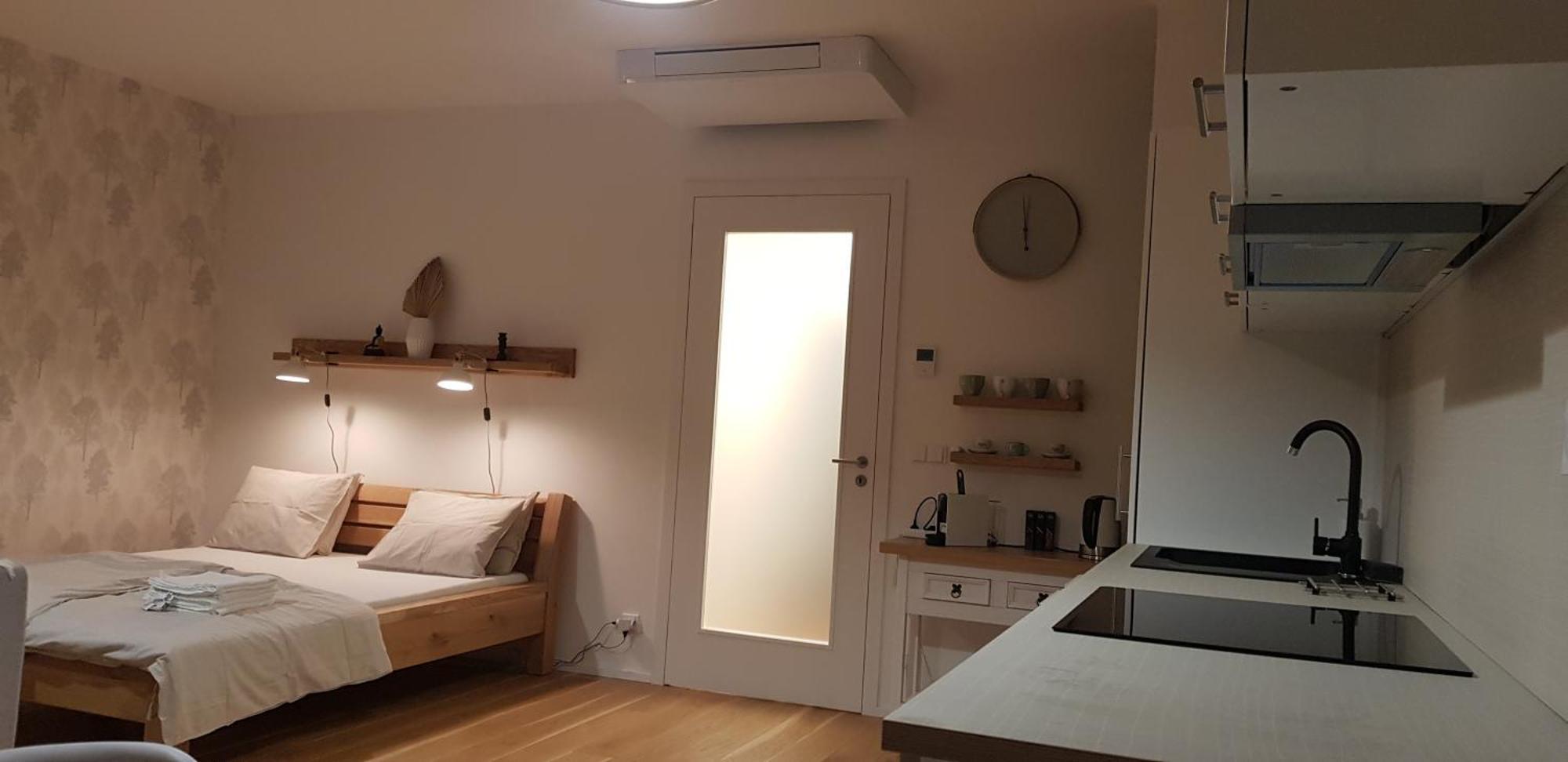 리프노나드비타보브 Molo Lipno 아파트 객실 사진